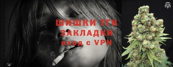 гидра Бронницы