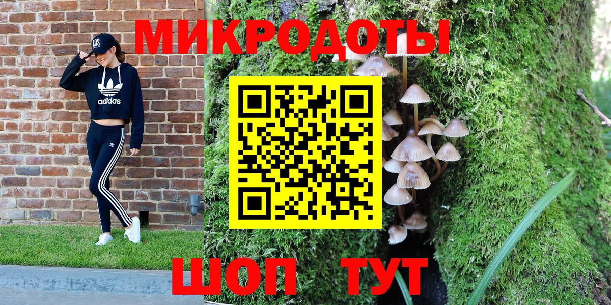 Псилоцибиновые грибы Cubensis  Вход с VPN  Галлюциногенные грибы мицелий  Можайск 